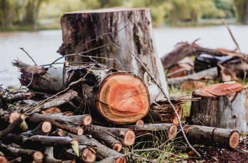 DIY træhest: Sådan bygger du din egen unikke træhest